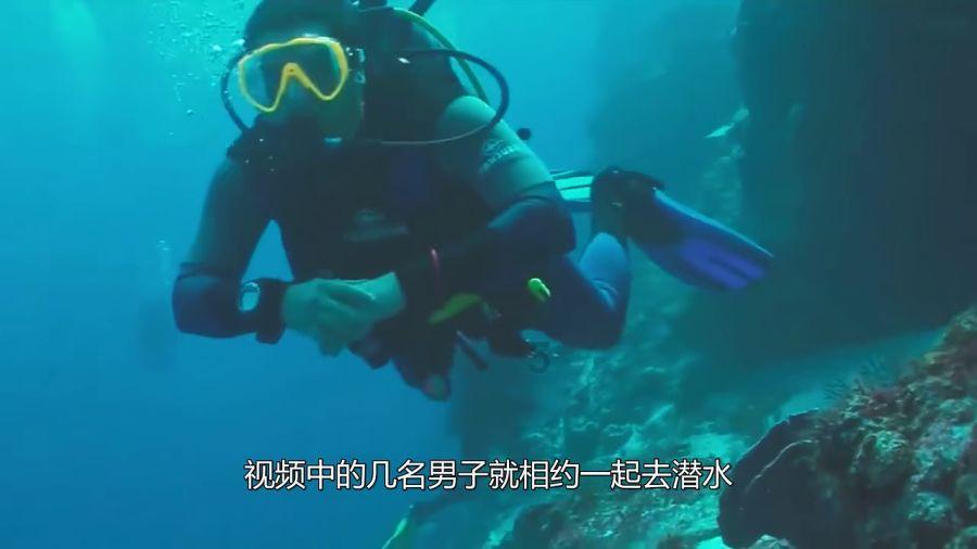 细胞分裂5