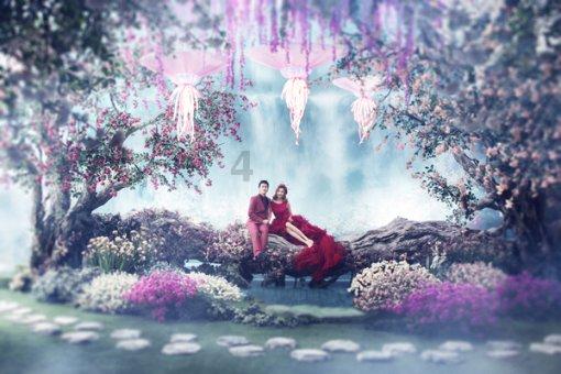 一个承诺